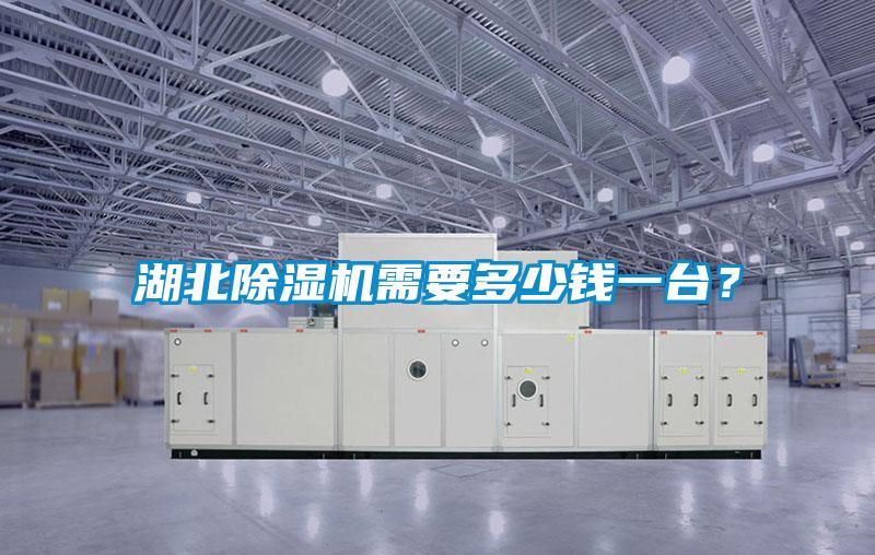 湖北麻豆视频黄网站需要多少钱一台？