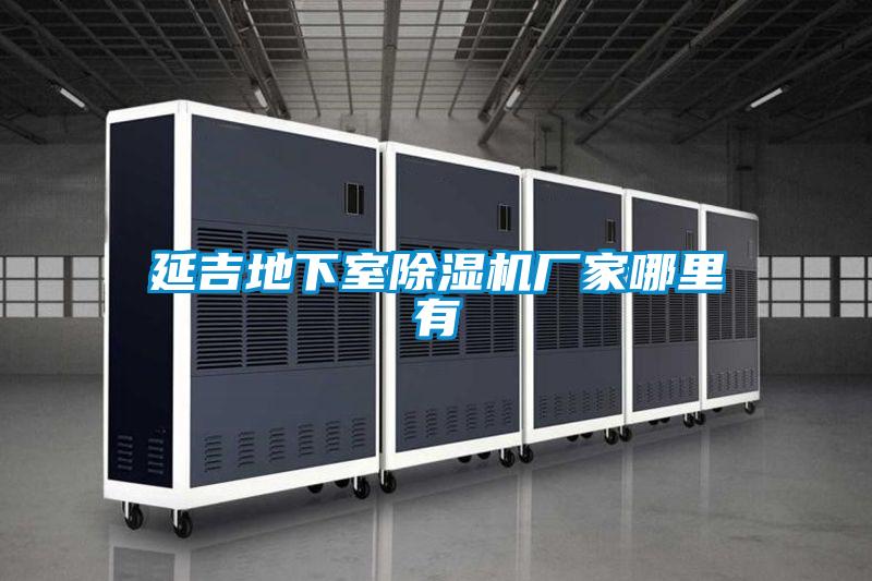 延吉地下室麻豆视频黄网站厂家哪里有