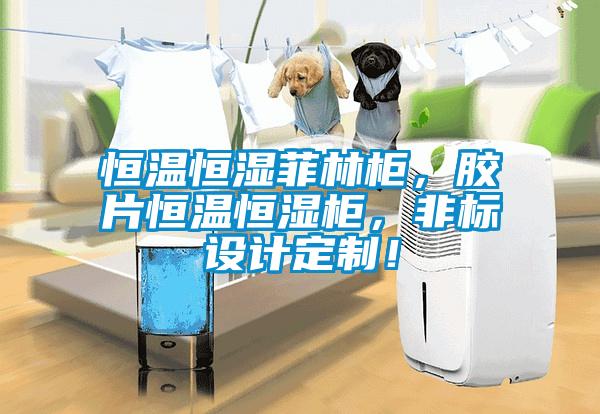 恒温恒湿菲林柜，胶片恒温恒湿柜，非标设计定制！