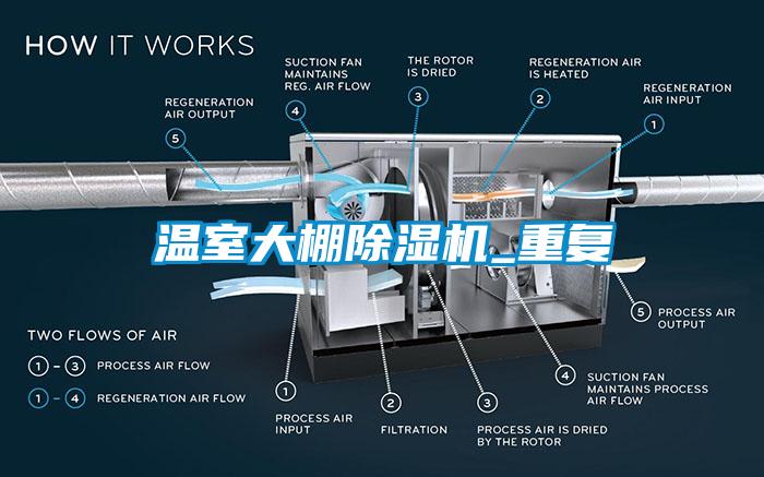温室大棚麻豆视频黄网站_重复