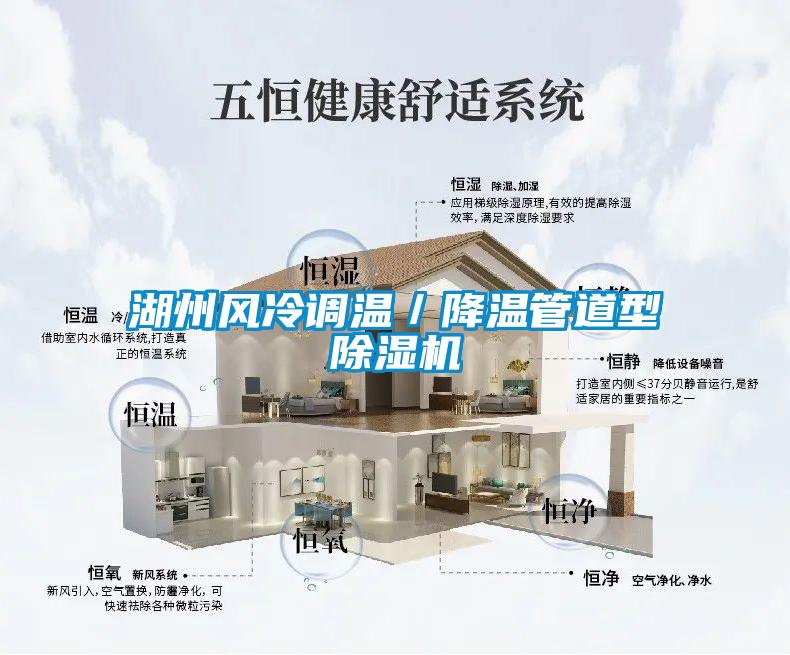 湖州风冷调温／降温管道型麻豆视频黄网站