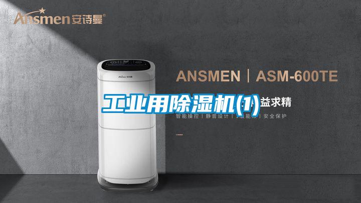工业用麻豆视频黄网站(1)