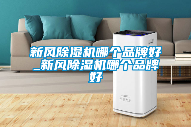 新风麻豆视频黄网站哪个品牌好_新风麻豆视频黄网站哪个品牌好