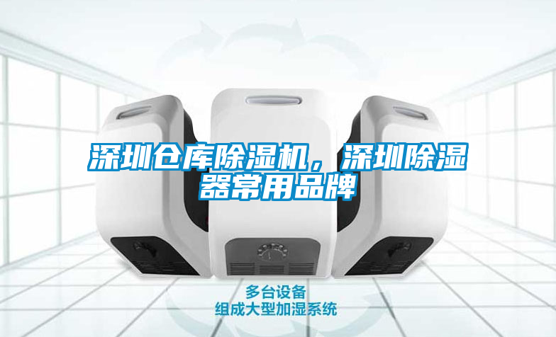 深圳仓库麻豆视频黄网站，深圳除湿器常用品牌