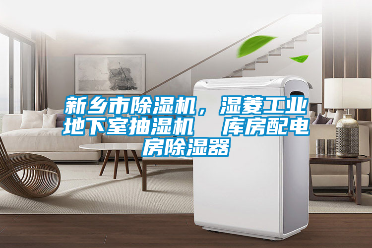 新乡市麻豆视频黄网站，湿菱工业地下室抽湿机  库房配电房除湿器