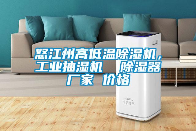 怒江州高低温麻豆视频黄网站，工业抽湿机  除湿器厂家 价格