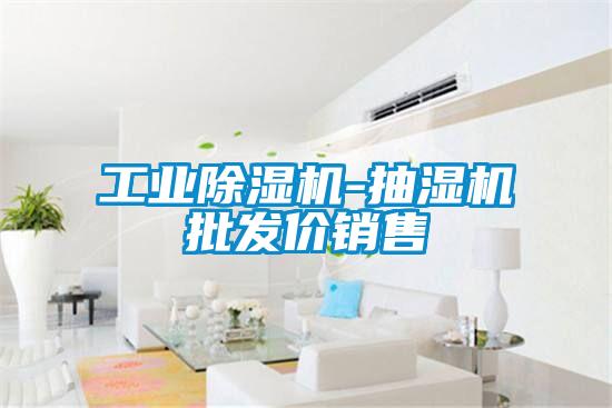 工业麻豆视频黄网站-抽湿机批发价销售