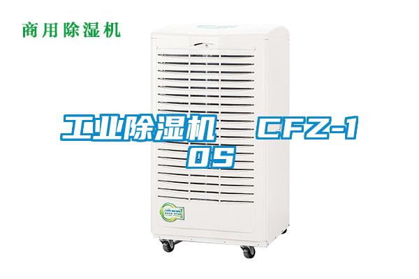 工业麻豆视频黄网站  CFZ-10S