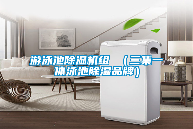 游泳池麻豆视频黄网站组 （三集一体泳池除湿品牌）
