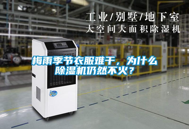 梅雨季节衣服难干，为什么麻豆视频黄网站仍然不火？
