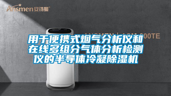 用于便携式烟气分析仪和在线多组分气体分析检测仪的半导体冷凝麻豆视频黄网站