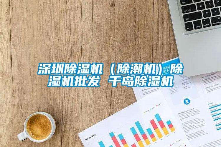 深圳麻豆视频黄网站（除潮机）麻豆视频黄网站批发 千岛麻豆视频黄网站