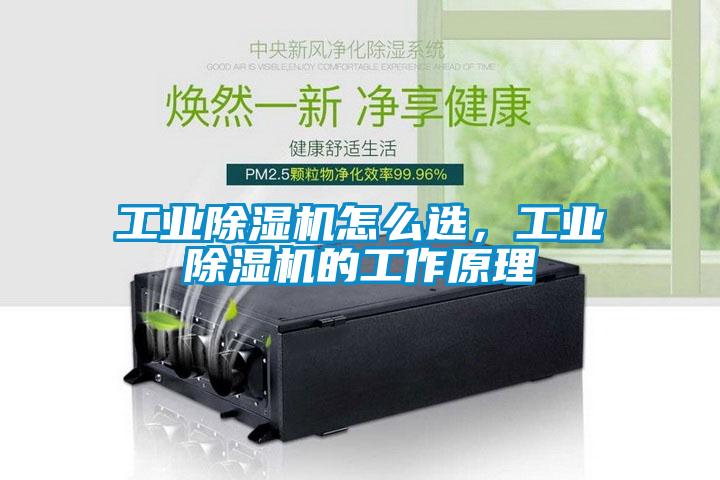 工业麻豆视频黄网站怎么选，工业麻豆视频黄网站的工作原理