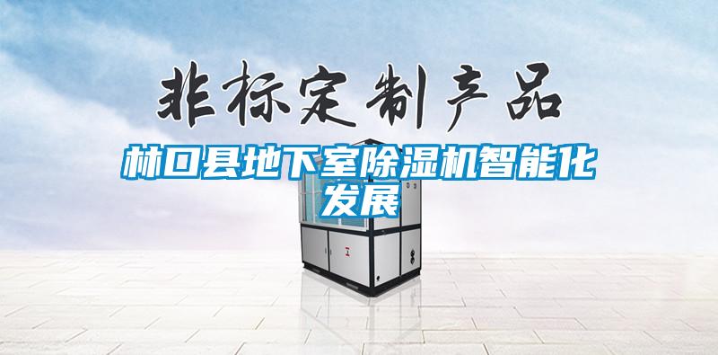 林口县地下室麻豆视频黄网站智能化发展