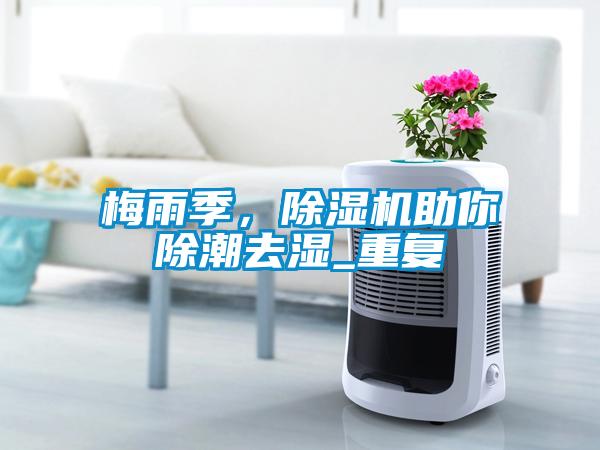 梅雨季，麻豆视频黄网站助你除潮去湿_重复