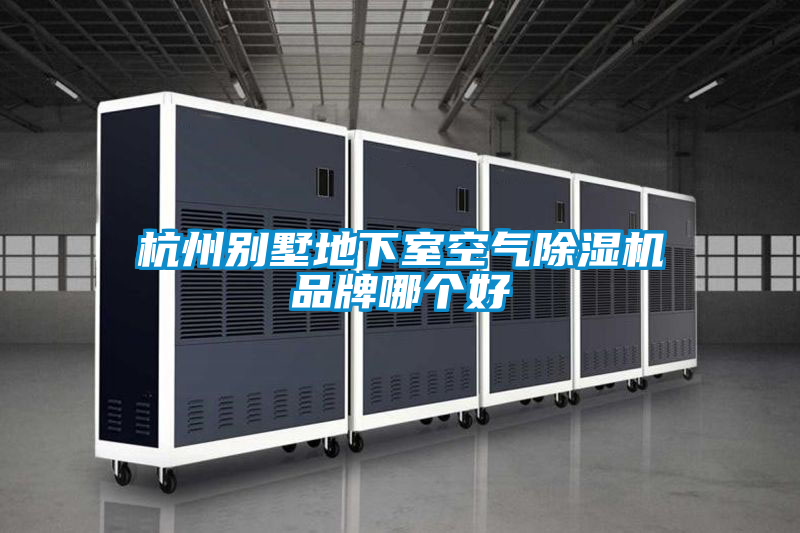 杭州别墅地下室空气麻豆视频黄网站品牌哪个好