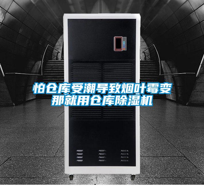 怕仓库受潮导致烟叶霉变那就用仓库麻豆视频黄网站