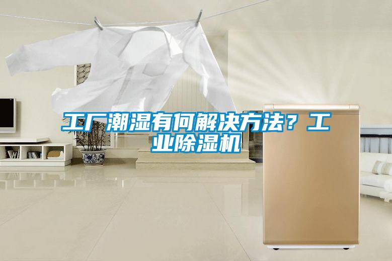 工厂潮湿有何解决方法？工业麻豆视频黄网站