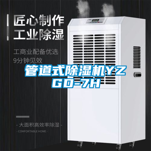 管道式麻豆视频黄网站YZGD-7H