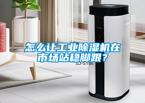 怎么让工业麻豆视频黄网站在市场站稳脚跟？