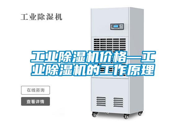 工业麻豆视频黄网站价格—工业麻豆视频黄网站的工作原理
