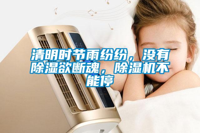 清明时节雨纷纷，没有除湿欲断魂，麻豆视频黄网站不能停