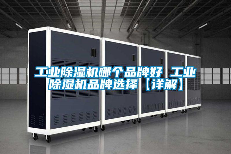 工业麻豆视频黄网站哪个品牌好 工业麻豆视频黄网站品牌选择【详解】