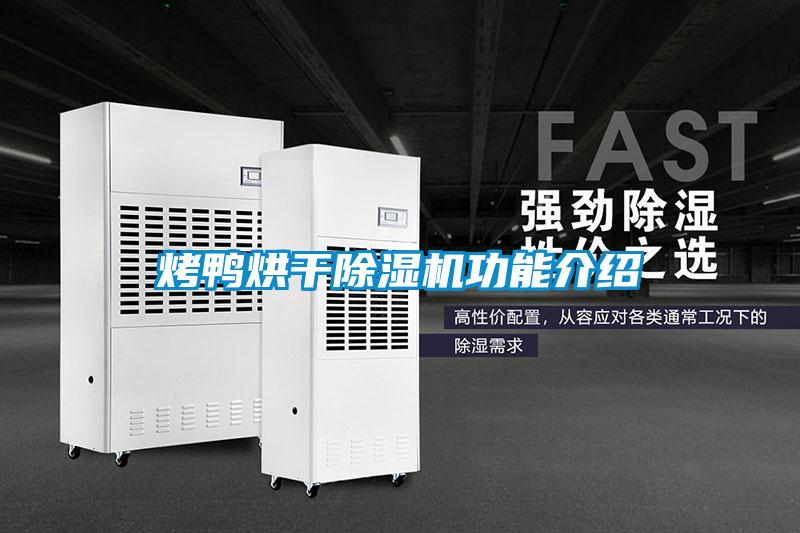烤鸭烘干麻豆视频黄网站功能介绍