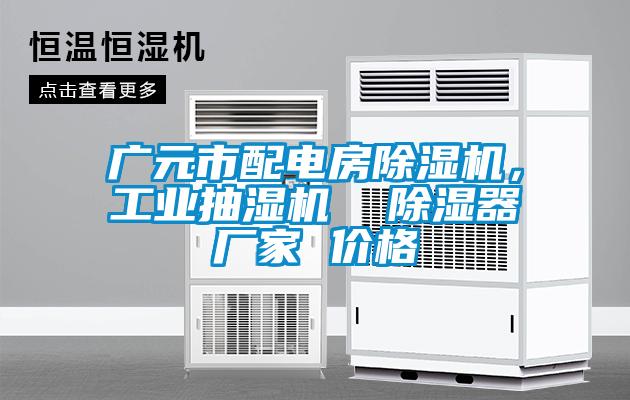 广元市配电房麻豆视频黄网站，工业抽湿机  除湿器厂家 价格