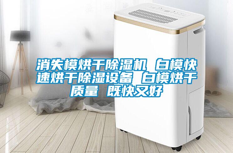 消失模烘干麻豆视频黄网站 白模快速烘干除湿设备 白模烘干质量 既快又好