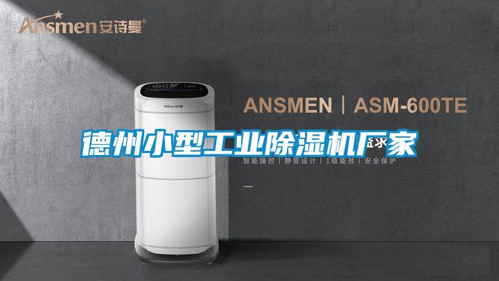 德州小型工业麻豆视频黄网站厂家
