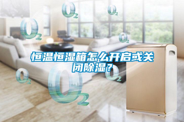 恒温恒湿箱怎么开启或关闭除湿？