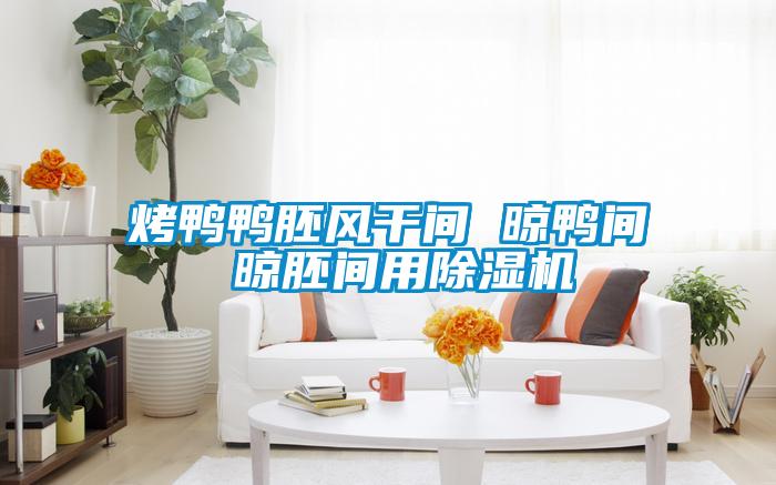 烤鸭鸭胚风干间 晾鸭间 晾胚间用麻豆视频黄网站