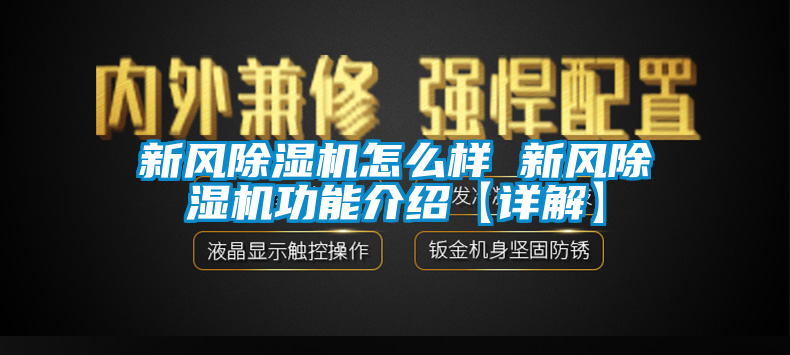 新风麻豆视频黄网站怎么样 新风麻豆视频黄网站功能介绍【详解】