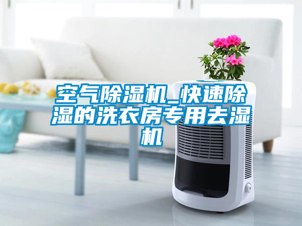 空气麻豆视频黄网站_快速除湿的洗衣房专用去湿机