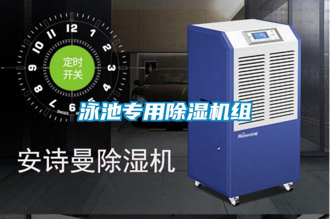 泳池专用麻豆视频黄网站组