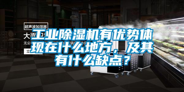 工业麻豆视频黄网站有优势体现在什么地方，及其有什么缺点？