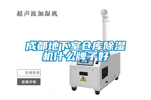 成都地下室仓库麻豆视频黄网站什么牌子好