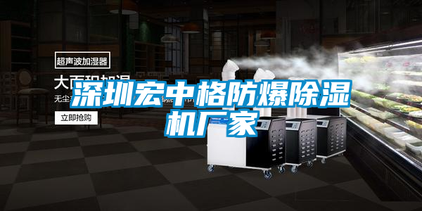 深圳宏中格防爆麻豆视频黄网站厂家