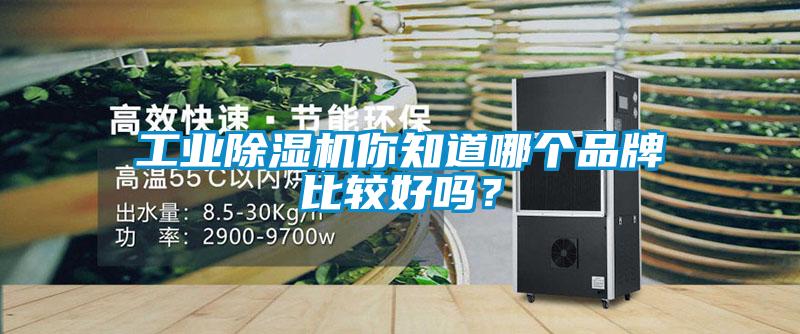工业麻豆视频黄网站你知道哪个品牌比较好吗？
