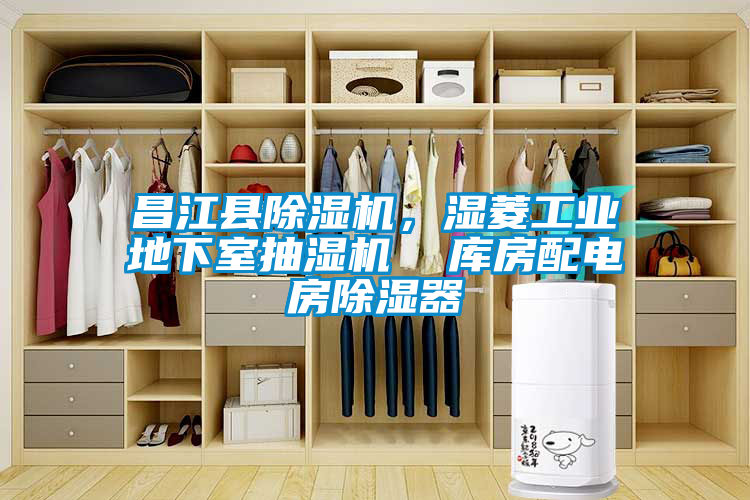 昌江县麻豆视频黄网站，湿菱工业地下室抽湿机  库房配电房除湿器