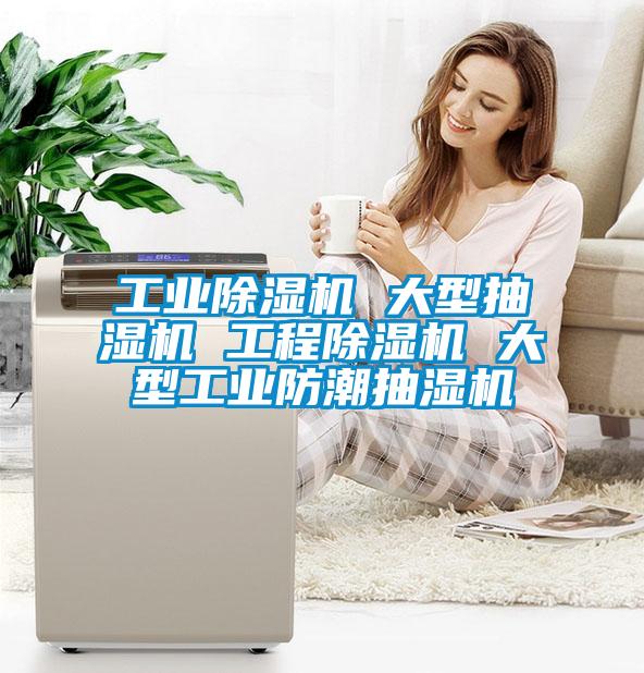 工业麻豆视频黄网站 大型抽湿机 工程麻豆视频黄网站 大型工业防潮抽湿机