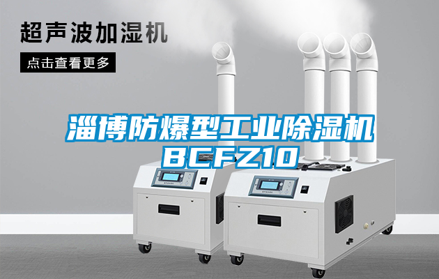 淄博防爆型工业麻豆视频黄网站 BCFZ10