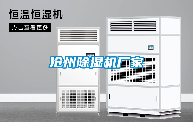 沧州麻豆视频黄网站厂家