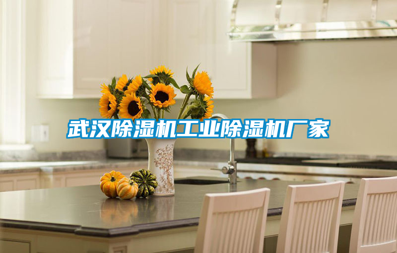 武汉麻豆视频黄网站工业麻豆视频黄网站厂家