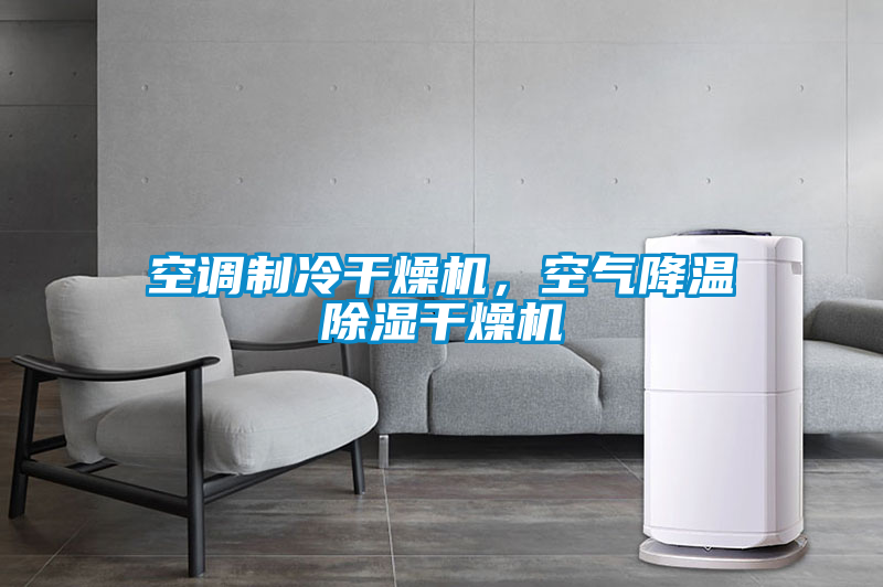 空调制冷干燥机，空气降温除湿干燥机