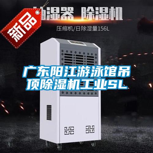 广东阳江游泳馆吊顶麻豆视频黄网站工业SL