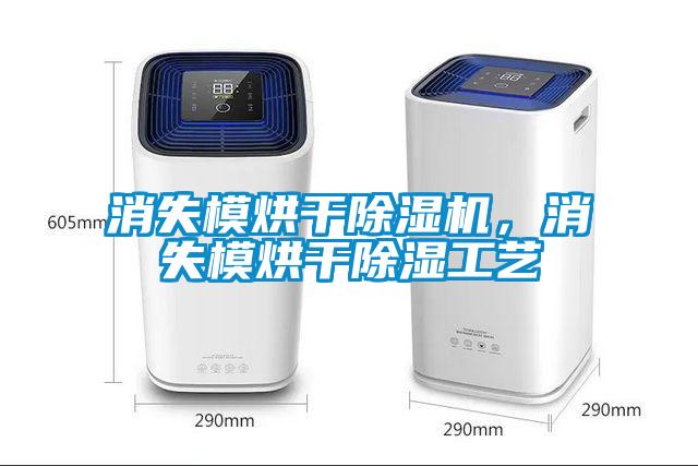 消失模烘干麻豆视频黄网站，消失模烘干除湿工艺