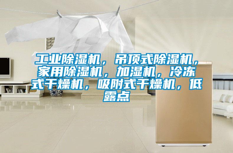 工业麻豆视频黄网站，吊顶式麻豆视频黄网站，家用麻豆视频黄网站，加湿机，冷冻式干燥机，吸附式干燥机，低露点