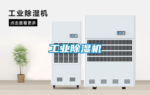 工业麻豆视频黄网站